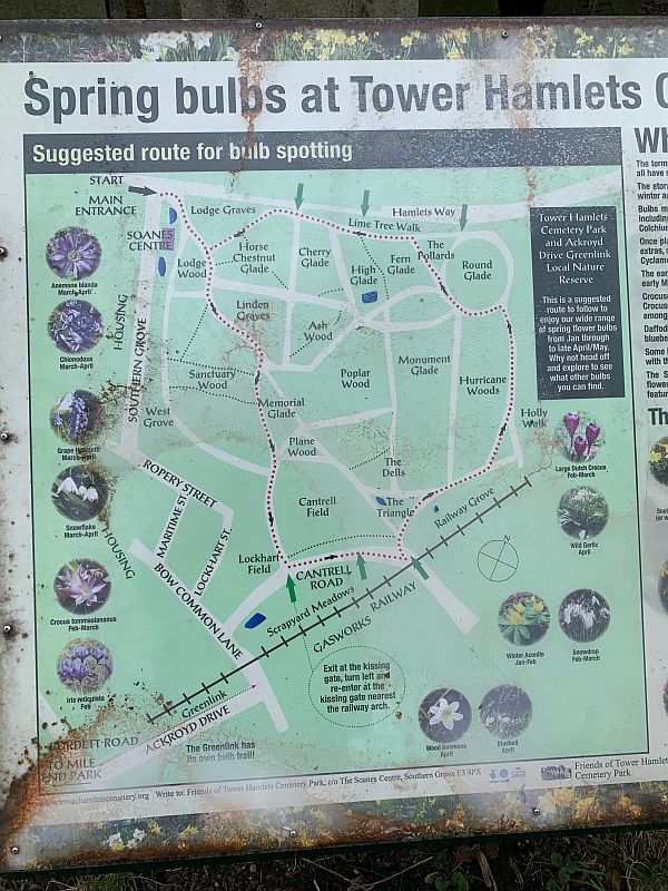 The suggested route for "Bulb Spotting" in Tower Hamlets Cemetary Park.