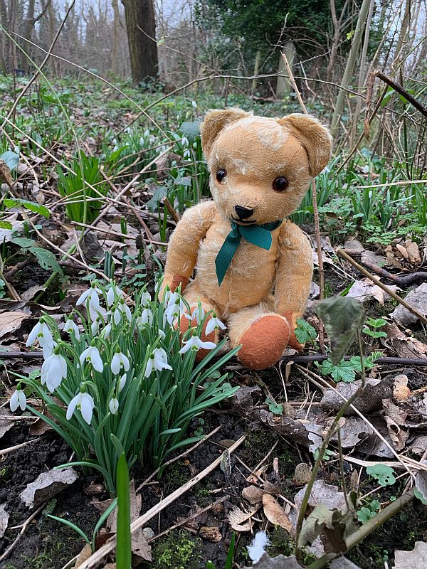 Eamonn sat amongst the Snowdrops in Tower Hamlets Cemetary Park.