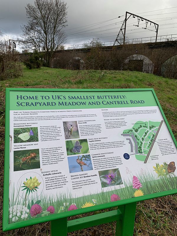 Interpretation board at Scrapyard Meadows - with the electrified main railway line behind.