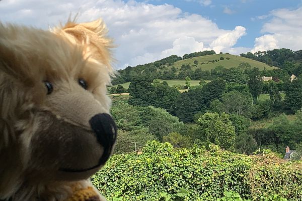 Bertie at Swift's Hill.