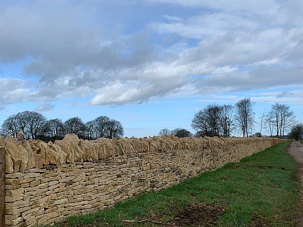 Newly built drystone wall.