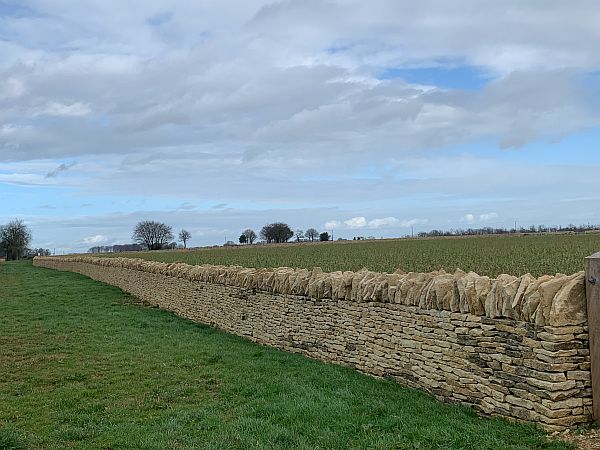 Newly built drystone wall.