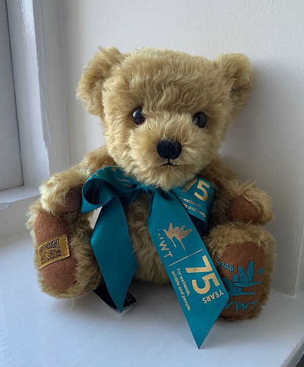 Bewick the Bear. A small, fluffy bear with a light blue scarf printed "WWT: 75 years for Wetlands, Wildlife & People".