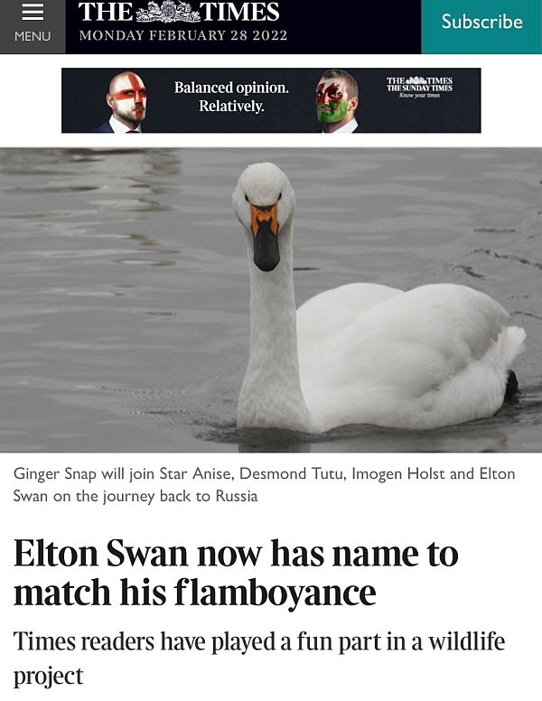 The Times - "Elton Swan".