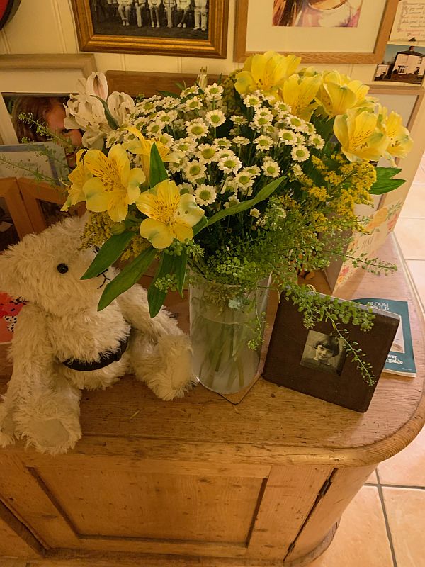 Trevor sat alongside the "letterbox flowers".