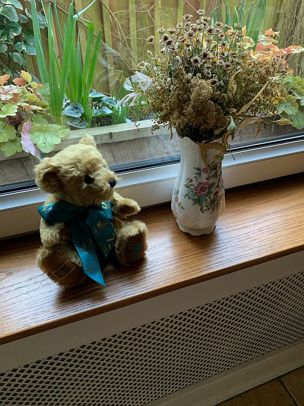 Bewick the Bear sat alongside the "letterbox flowers".