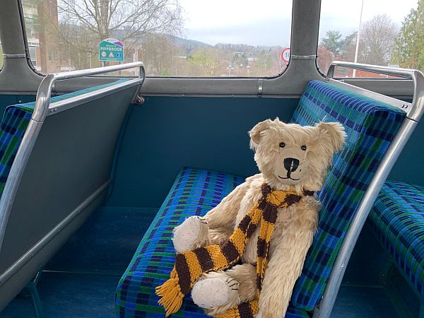 Bertie sat on the blue/green moquette seat.