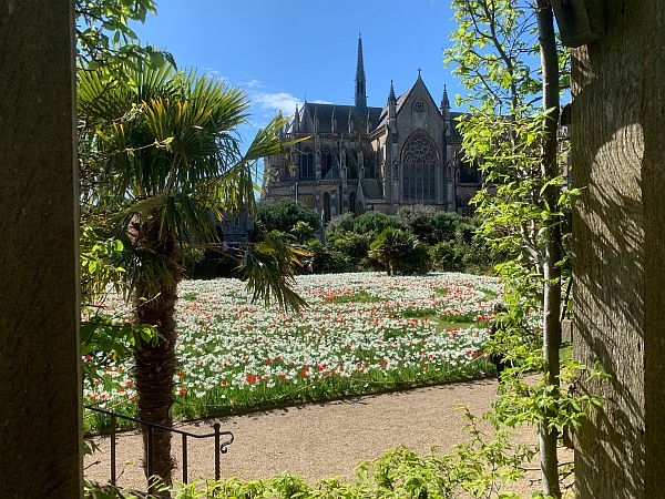 Tulips in front of Arundel Cathedral.