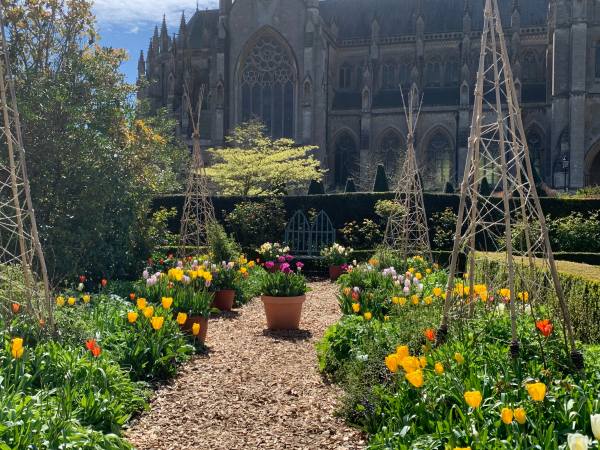 A Tulip garden overlooked by Arundel Cathedral.