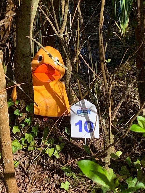 A large plastic duck as part of the Easter Duck Trail.