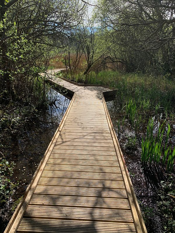 The boardwalk in Arundel.