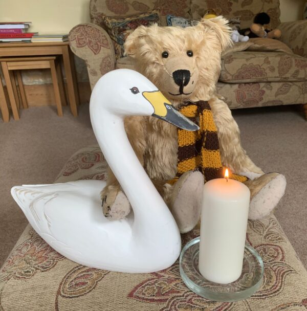 Bertie, wearing his Sutton United Scarf, sat on the floor with a model Bewick's Swan and a candle lit for Diddley.