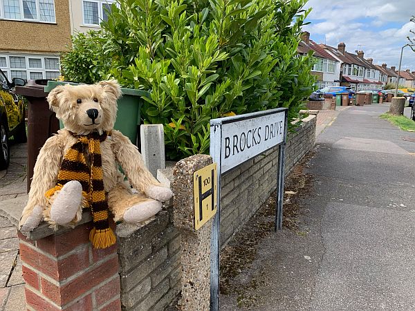 Bertie on a wall by the Brocks Drive road sign.