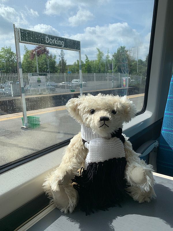 Trevor on the train at a wet Dorking Station.