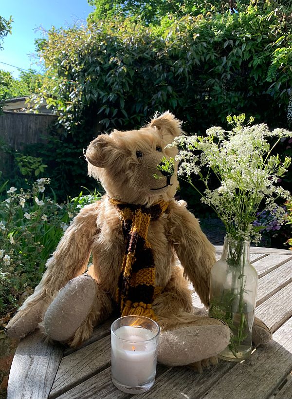 Bertie, a vase of Cow Parsley and a candle lit for Diddley.