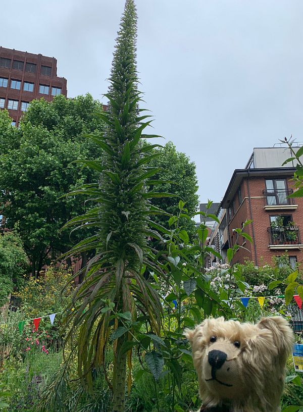 Bertie with a giant Epsium.