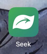 "Seek" app icon.