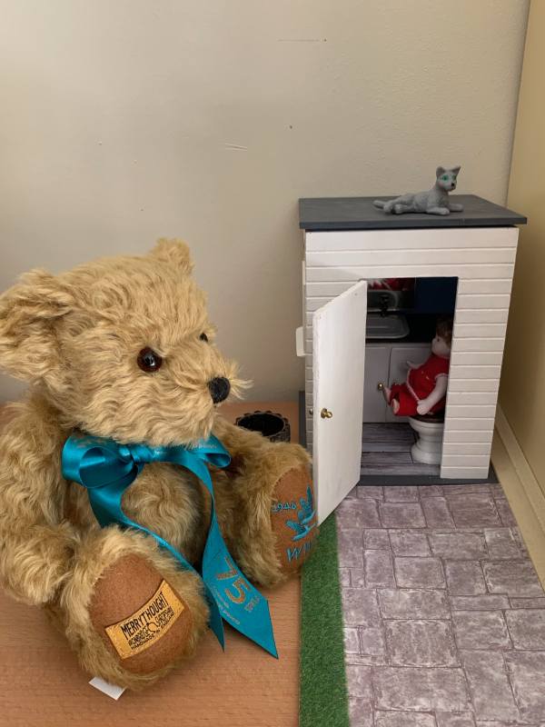 Bewick Bear looking at Poppy in the outside loo!