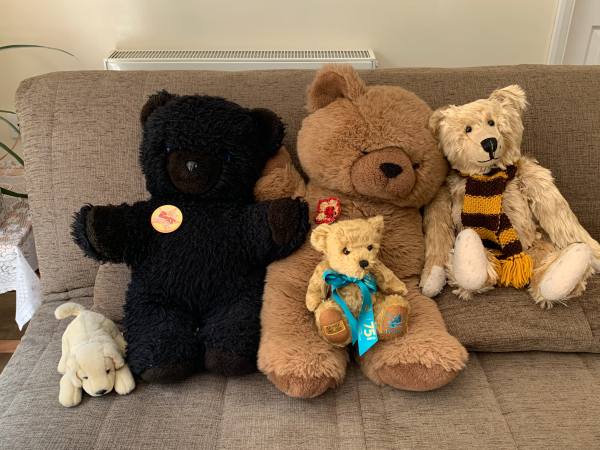 Dionysius and Andronicus bears (and a puppy) meet Bewick and Bertie!