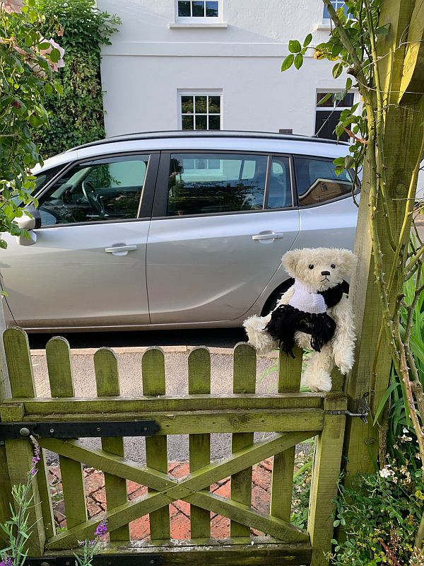 Trevor waiting patiently on the gate, with Bobby's car in the background.