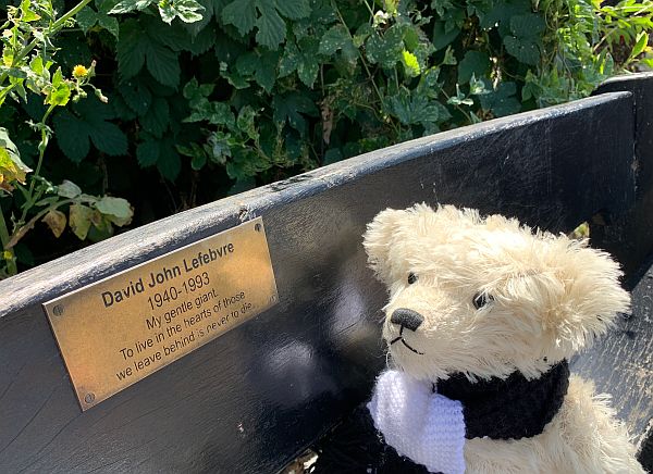 Trevor looking at a sign on a bench: "David John Lefebvre 1940-1993 My gentle giant. To live in the hearts of those we leave behind is never to die."