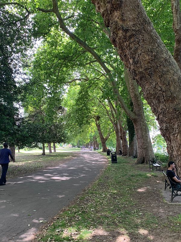 Canbury Gardens, Richmond