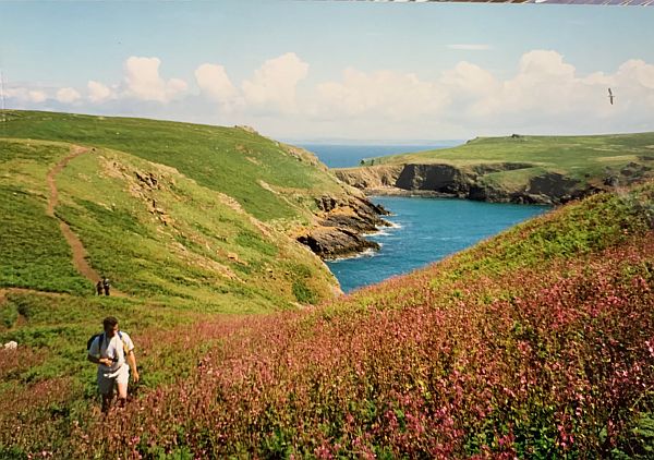 Skomer. 1986.