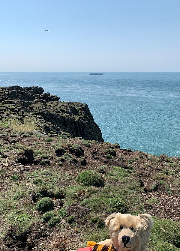 Skomer Head.