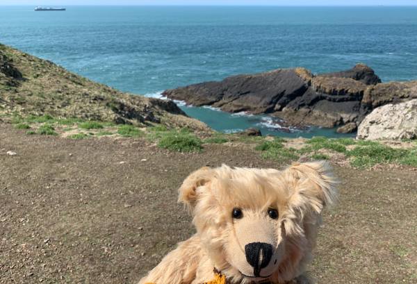 Bertie, with Pigstone Bay in the background.