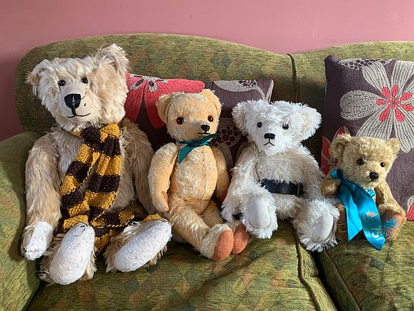 The four bears (Bertie, Eamonn, Trevor and Bewick) T Fronrhydd Fach.
