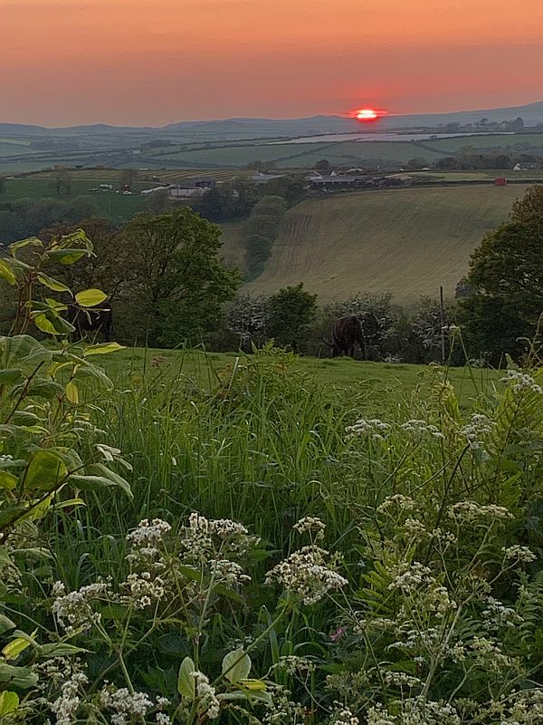 View from Fronrhydd Fach.