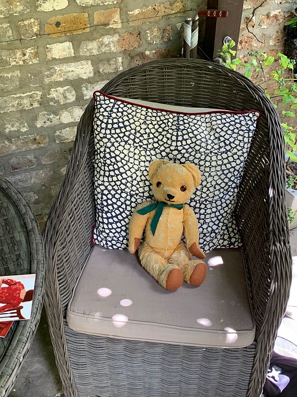 Eamonn sat in a chair in the garden of 31 Fournier Street.