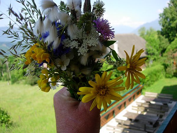 Hand picked Wld Flowers