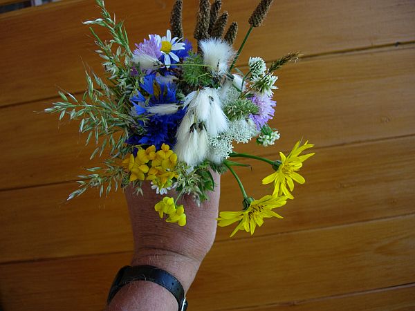 The bunch of Wild Flowers in a hand.