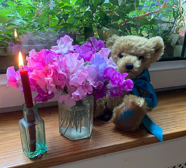 Bewick Bear with a vase of Sweet Peas and a candle lit for Diddley.