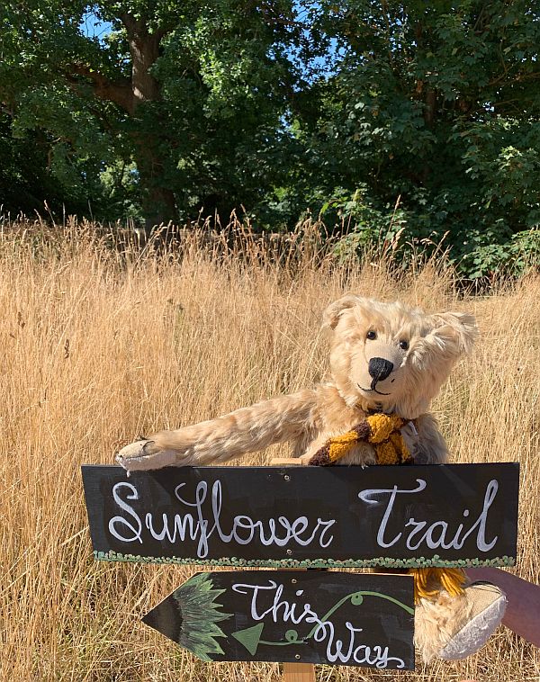 Bertie at the start of the Sunflower trail.