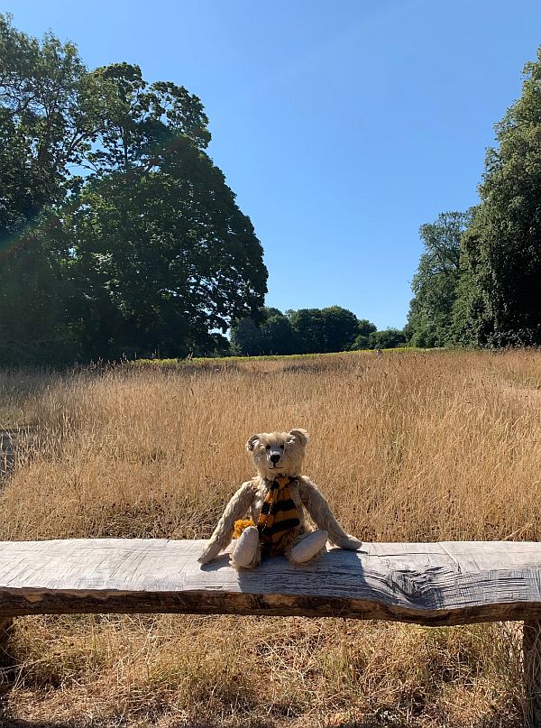 Bertie sat on a wooden bench, with a scorched field behind.