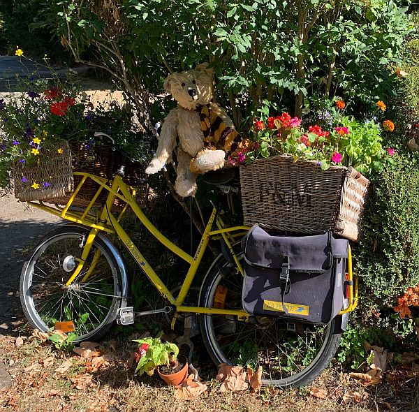 Bertie sat in the shade on a yellow bike, with a Fortnum & Mason hamper on the back.