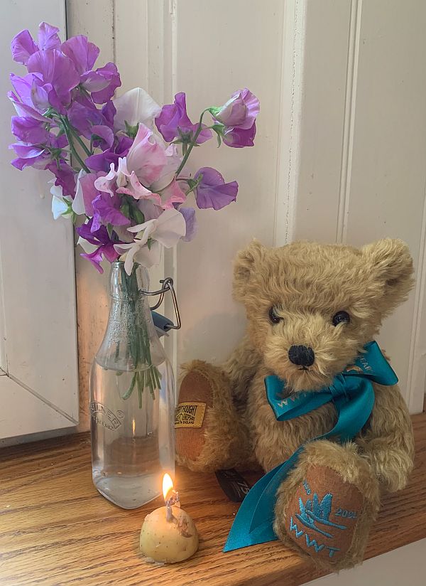 Bewick Bear and a candle (in a potato) lit for Didley, alongside a vase of Fuschias.
