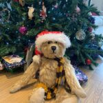 Bertie sat in front of a decorated Christmas Tree, wearing a Santa Hat and his Sutton United Scarf.