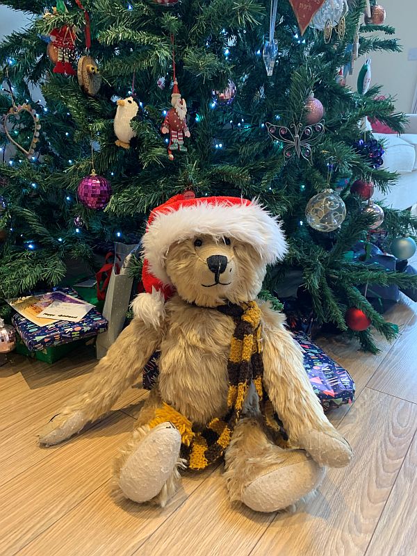 Bertie sat in front of a decorated Christmas Tree, wearing a Santa Hat and his Sutton United Scarf.