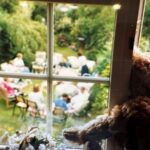 Bertie looking out of an upstairs window at people sat in a circle having a party in the garden.