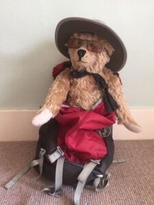 Bertie, wearing a hat and sunglassses, strapped onto the back of a rucksack.